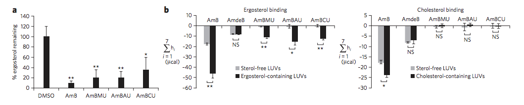 Erg extraction and ITC experiments to Erg and cholesterol of AmB ureas.